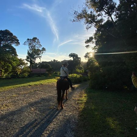 Rancho Makena Bed & Breakfast Monteverde Bagian luar foto