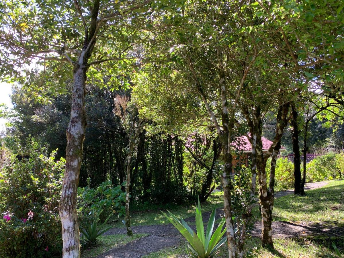 Rancho Makena Bed & Breakfast Monteverde Bagian luar foto